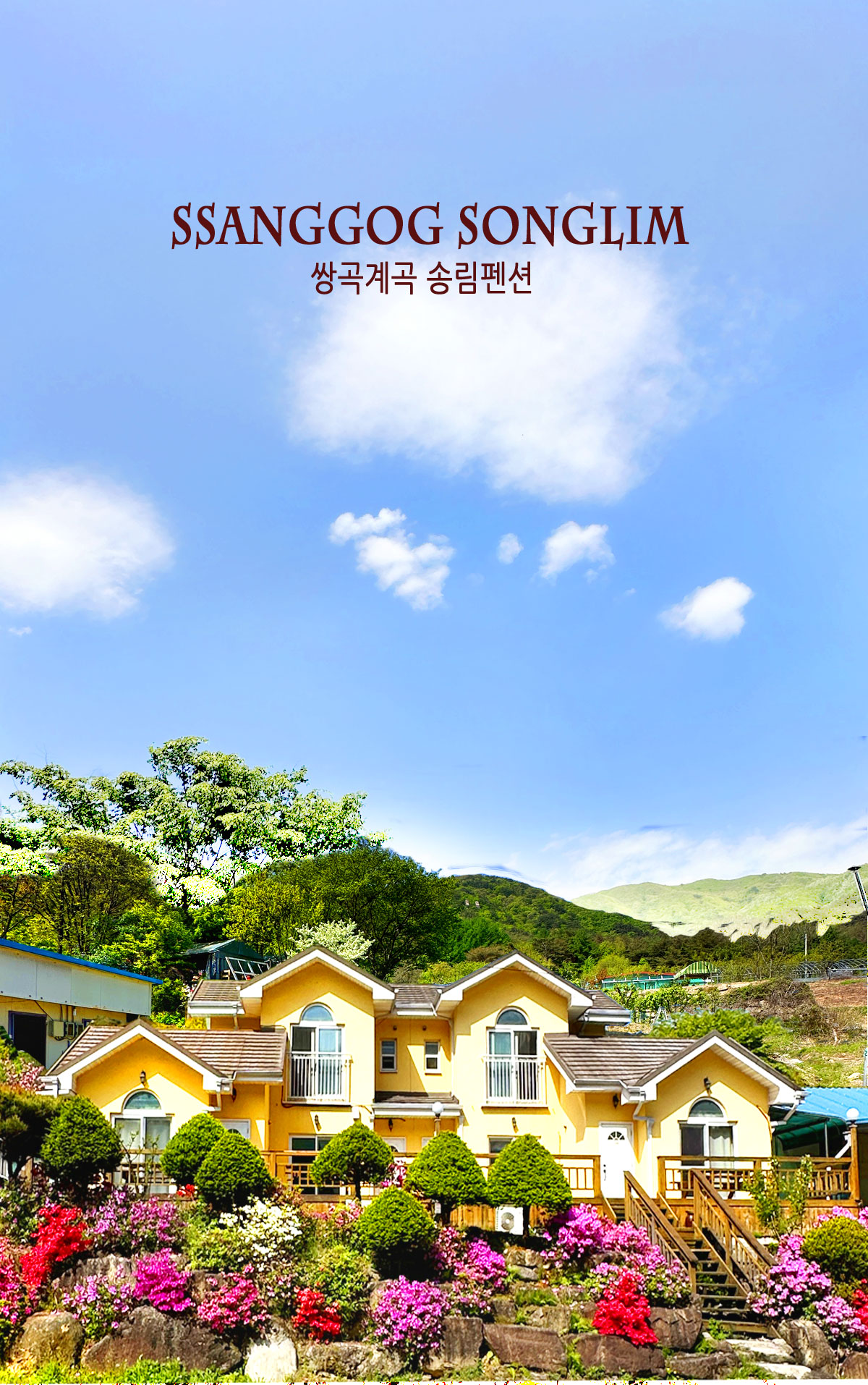 ������̹���1