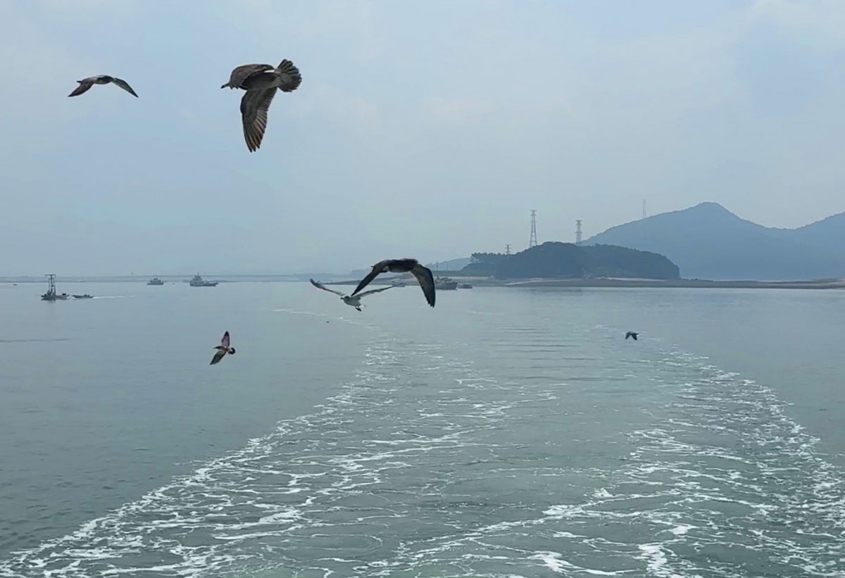 �ܺ��̹���2