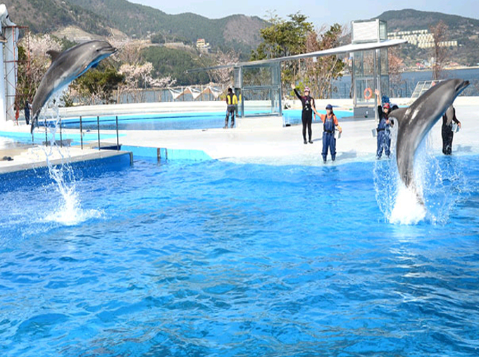 �ֺ������̹���