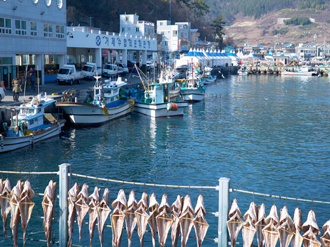 �ֺ������̹���