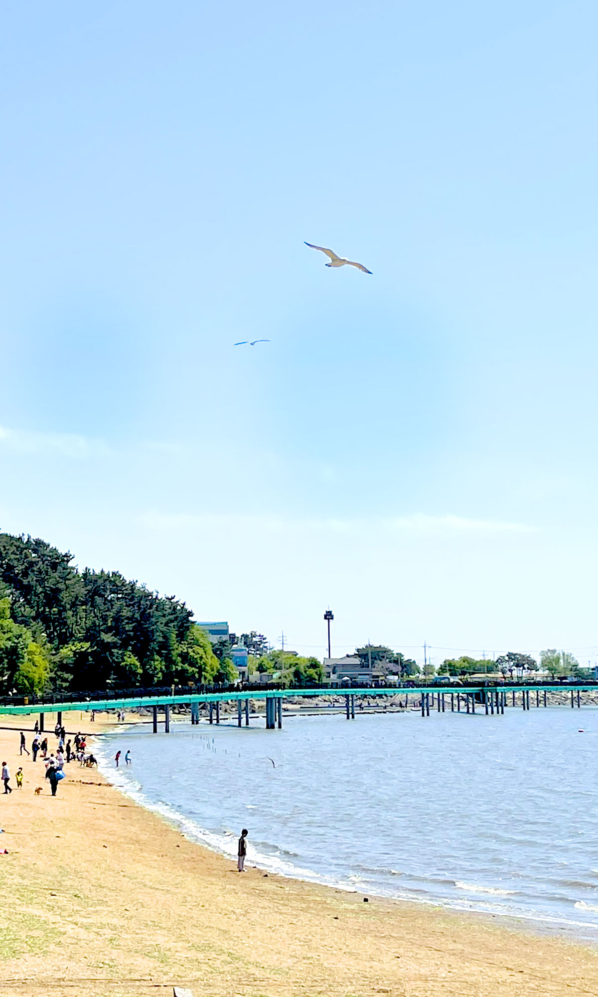 �ܺ��̹���