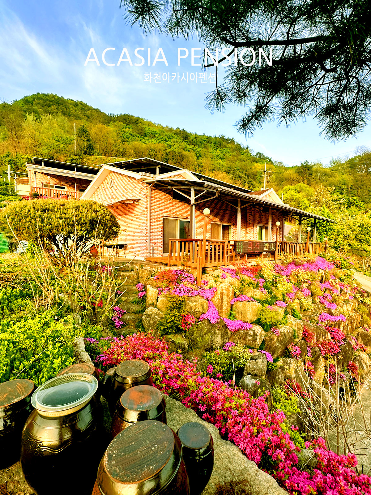 ������̹���3