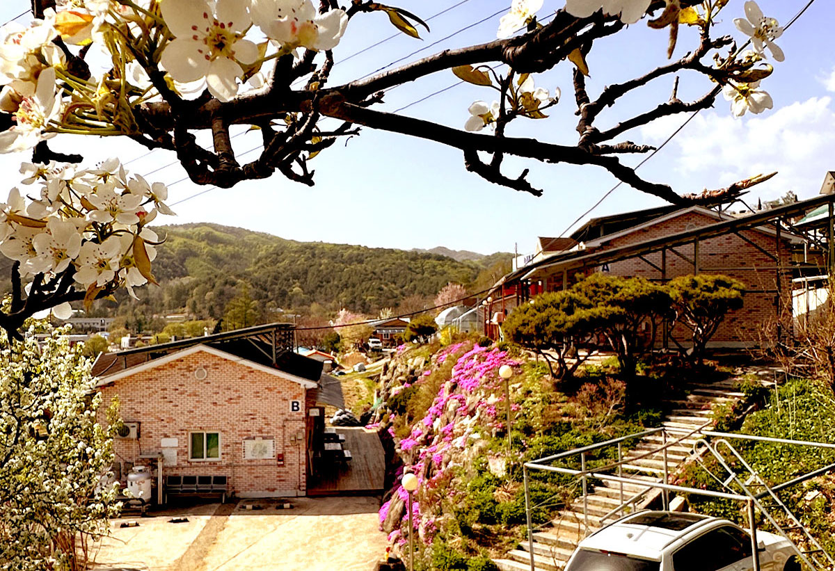 �ܺ��̹���7