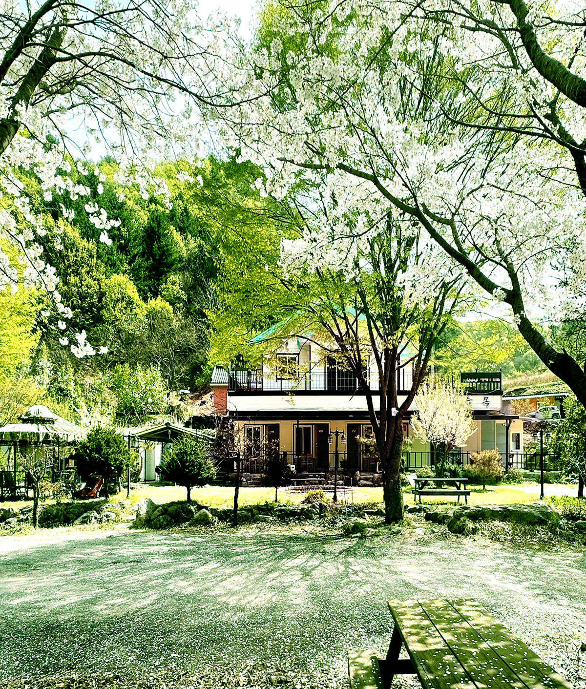 ������̹���2