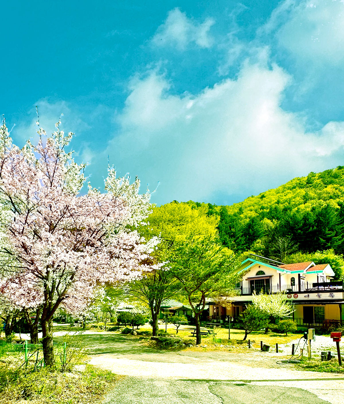 ������̹���3