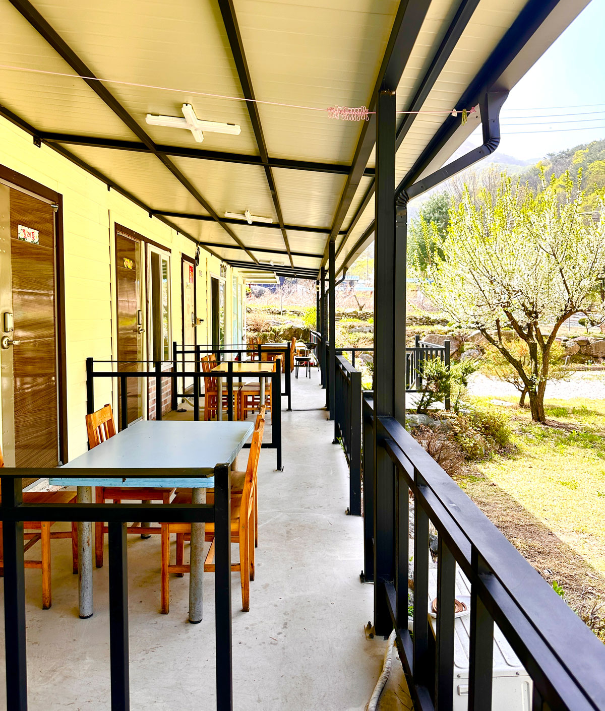 ������̹���6