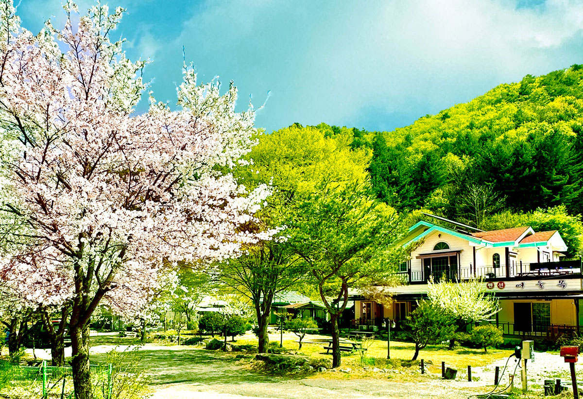 �ܺ��̹���3