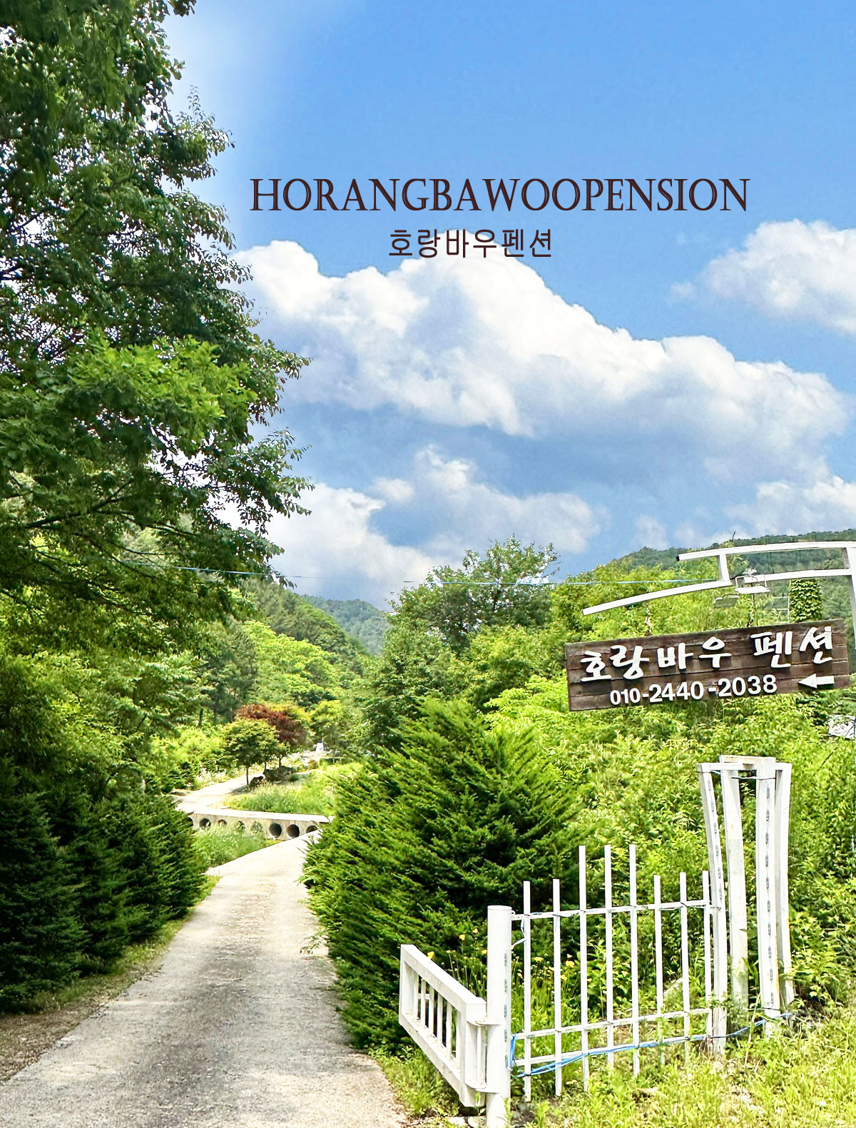 ������̹���1