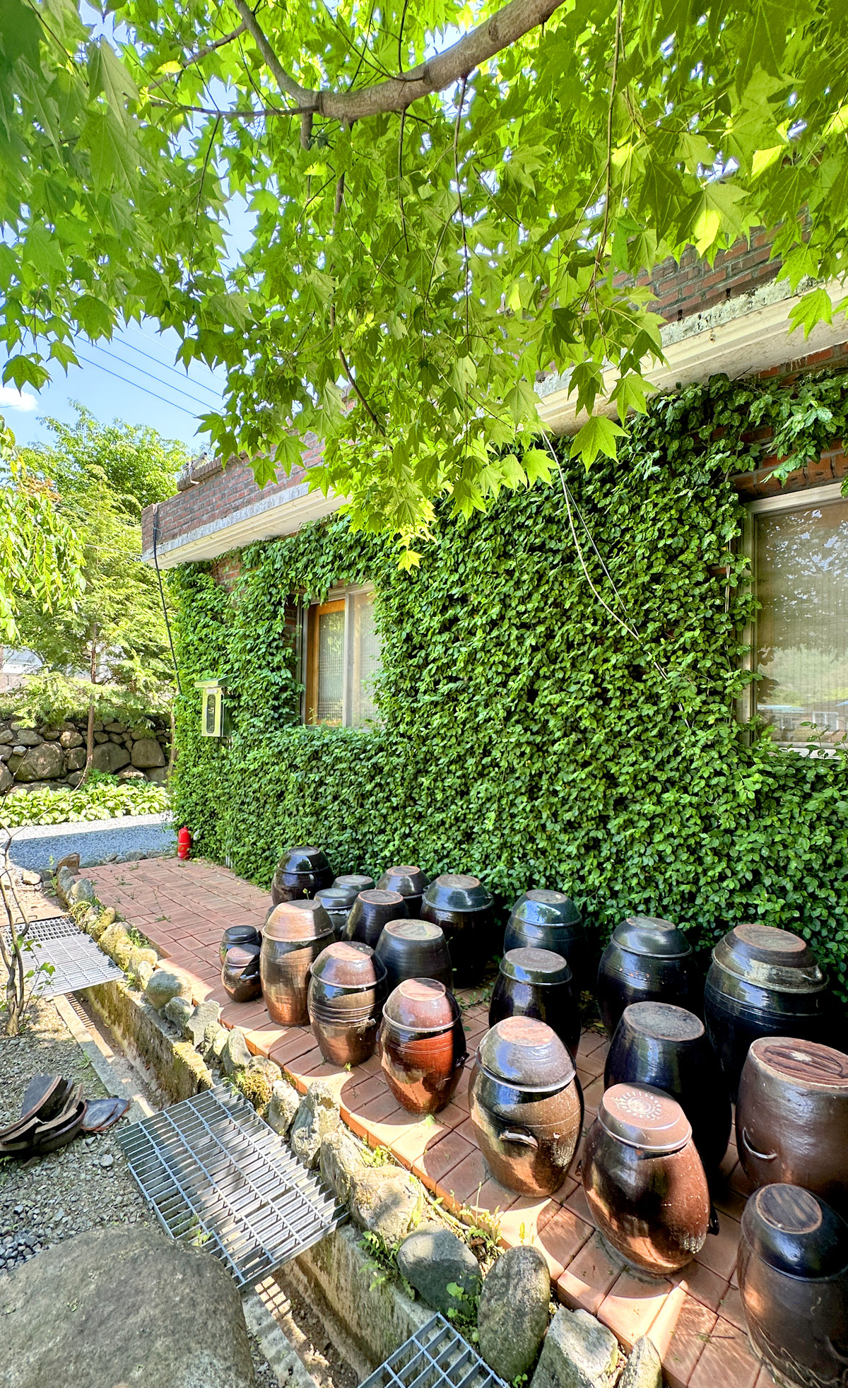 ������̹���1