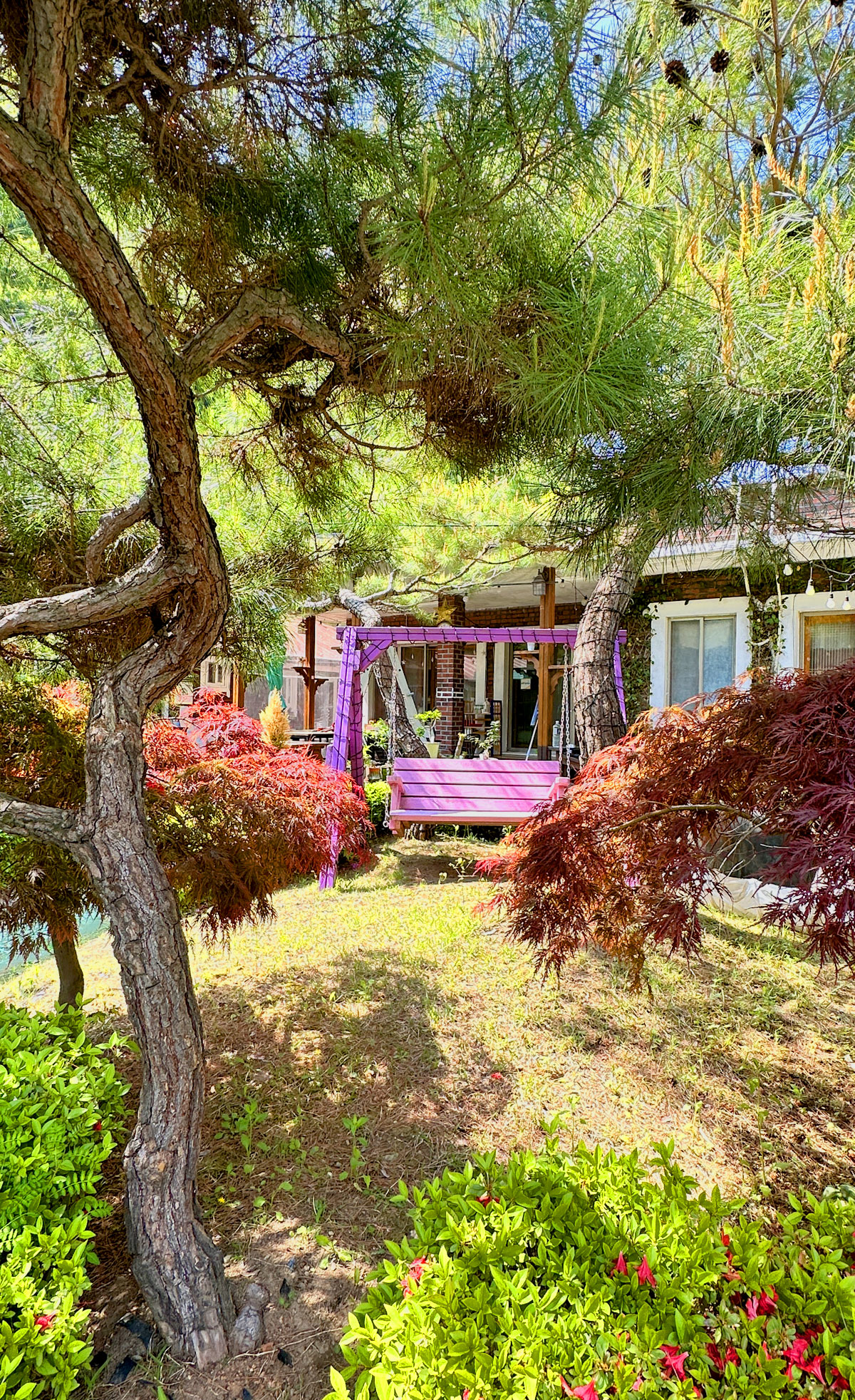 ������̹���3