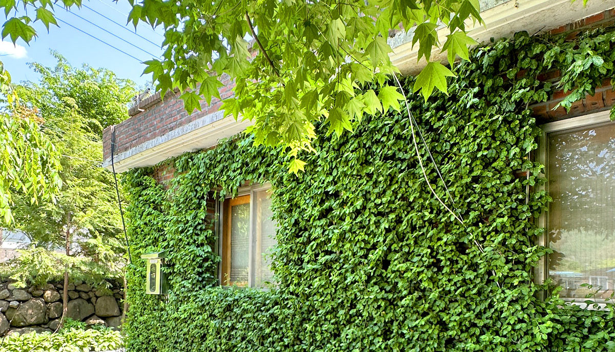 �ܺ��̹���1