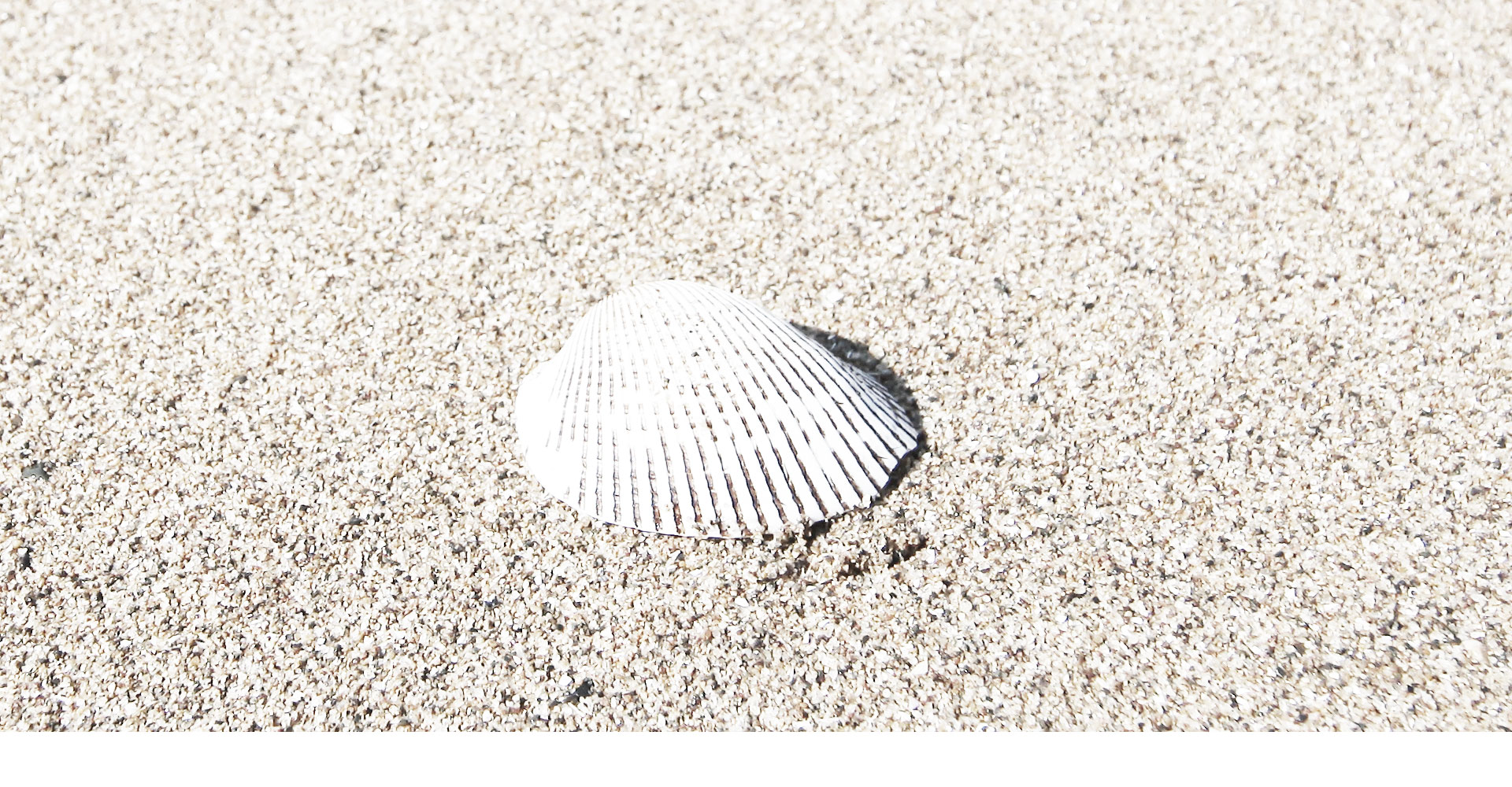 �����̹���7