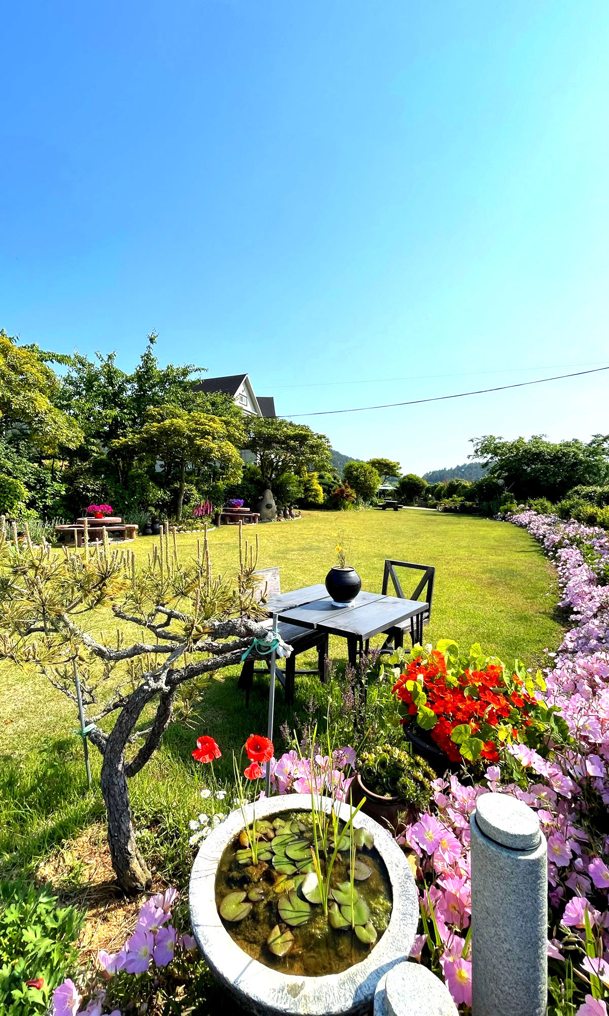 �ܺ��̹���