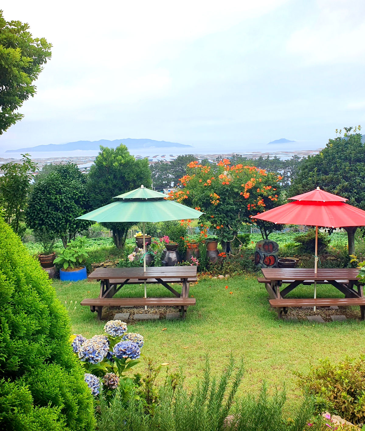 �ܺ��̹���