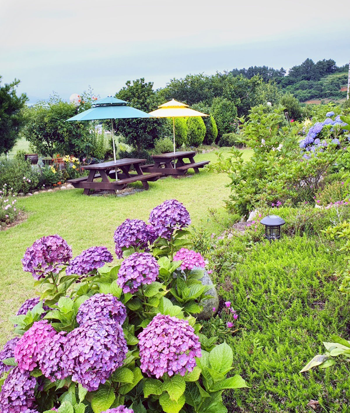 �ܺ��̹���