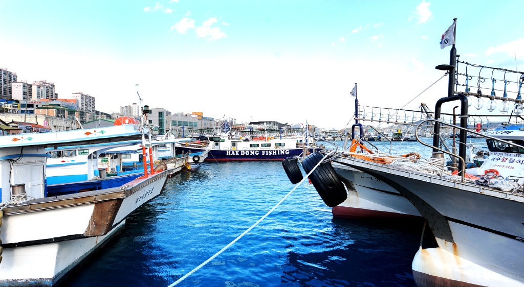 �ܺ��̹���