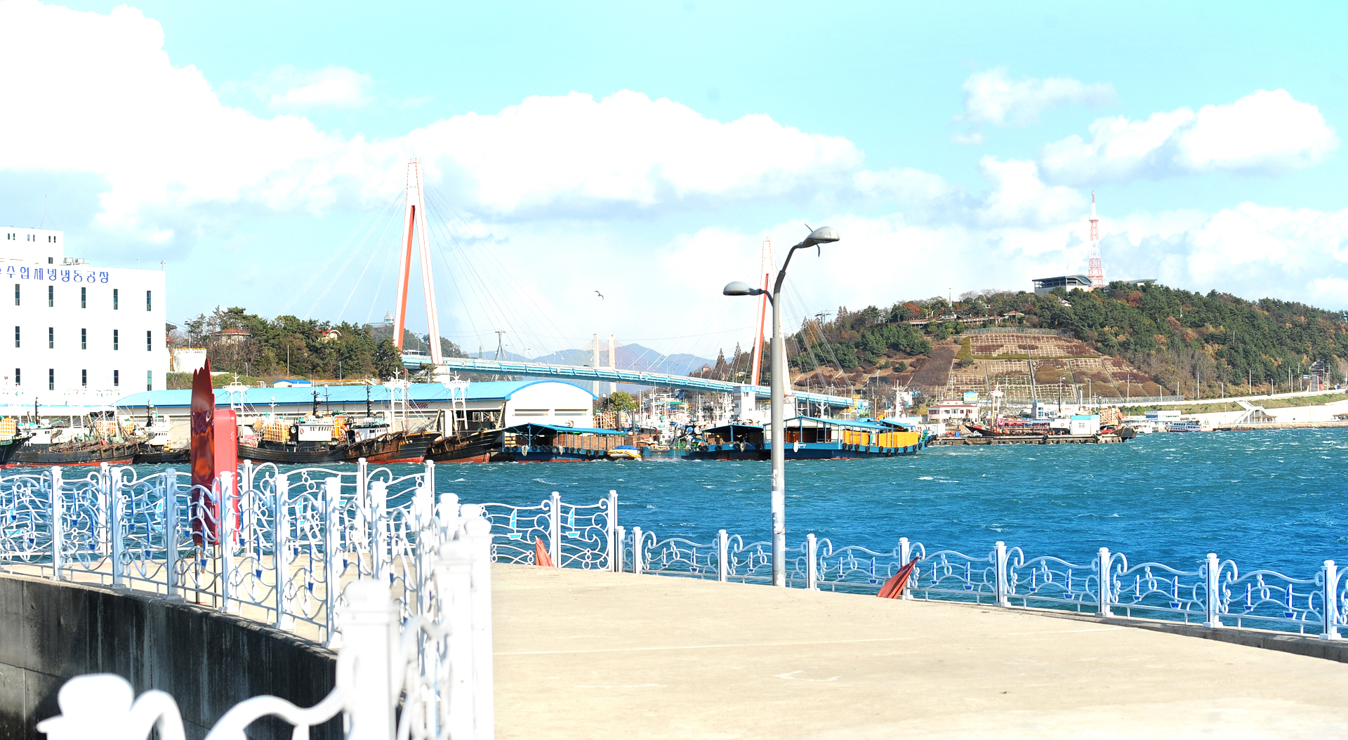 �ܺ��̹���