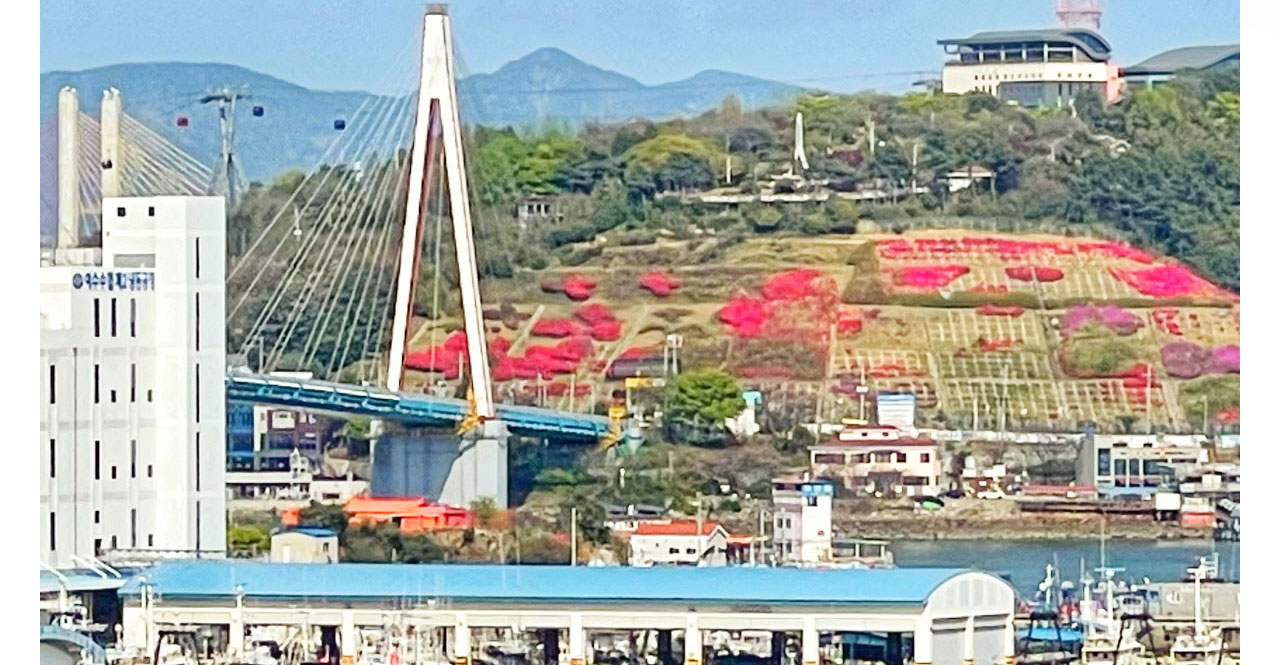 �ܺ��̹���