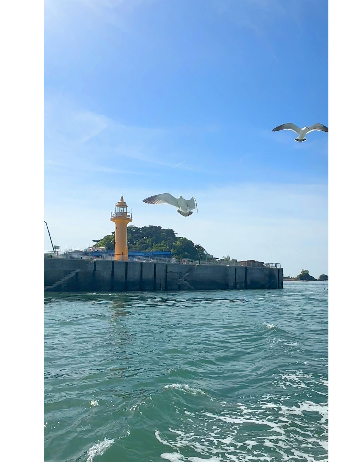 ������̹���2