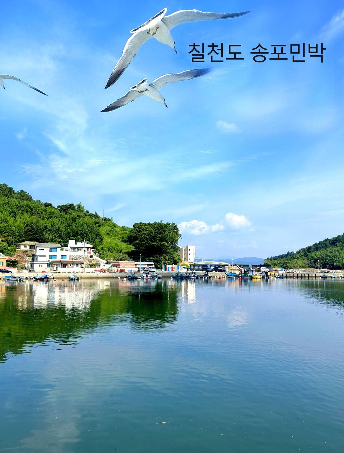 ������̹���1