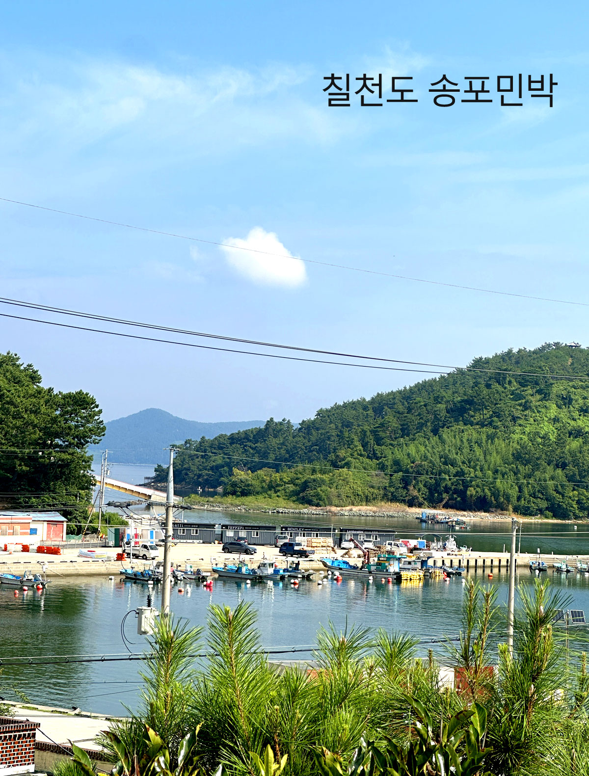 ������̹���3