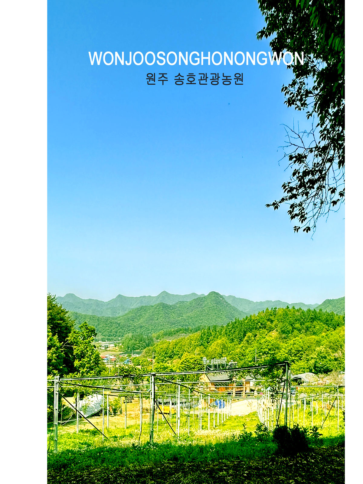 ������̹���1