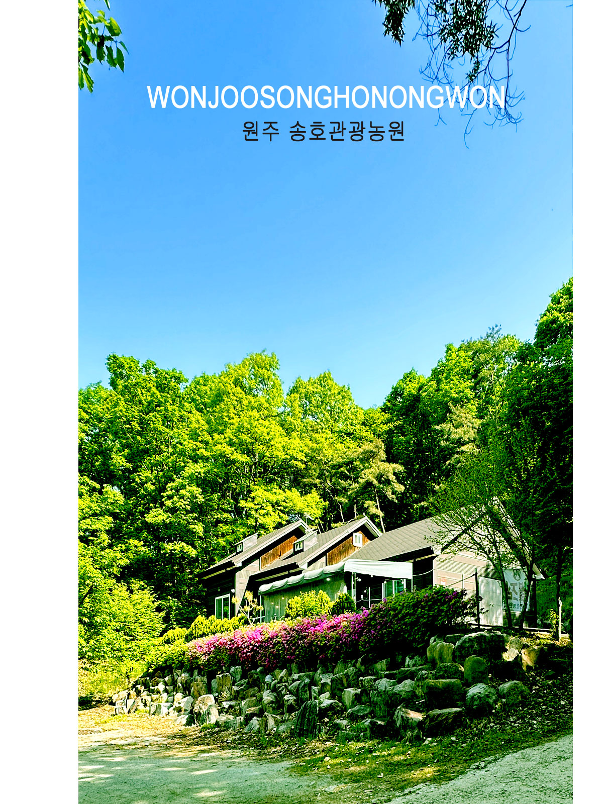 ������̹���2