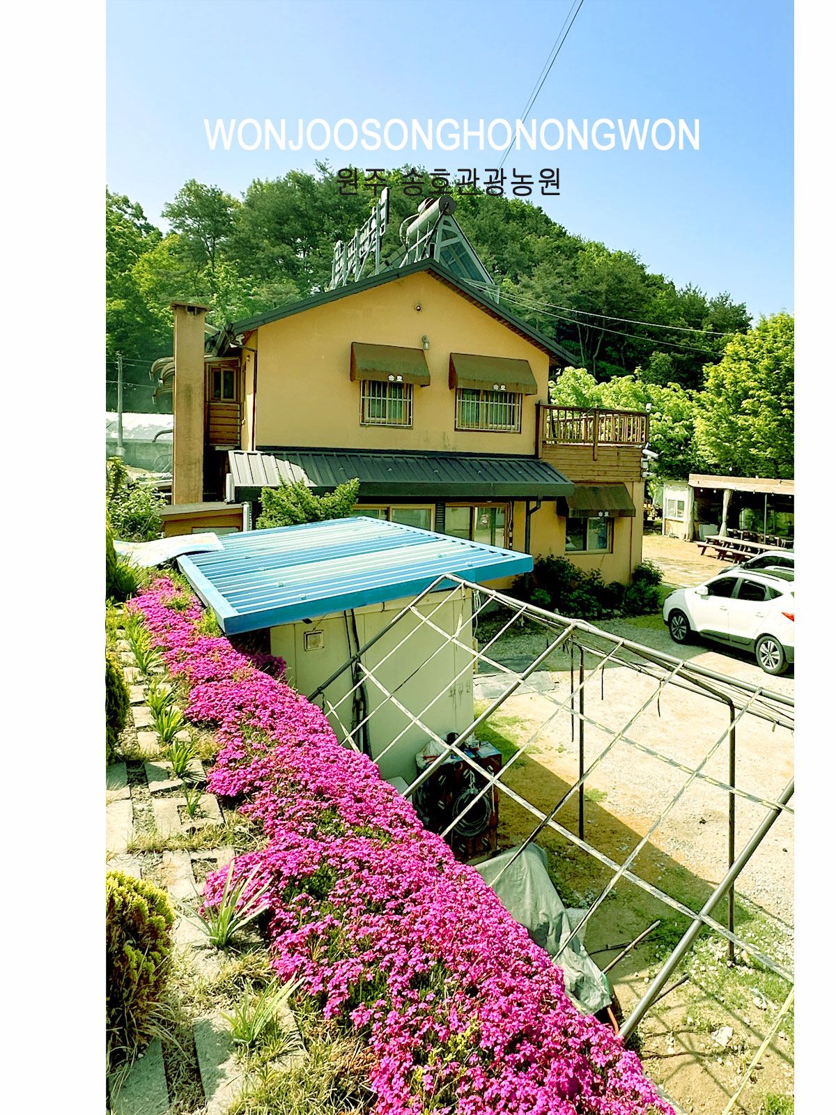 ������̹���4