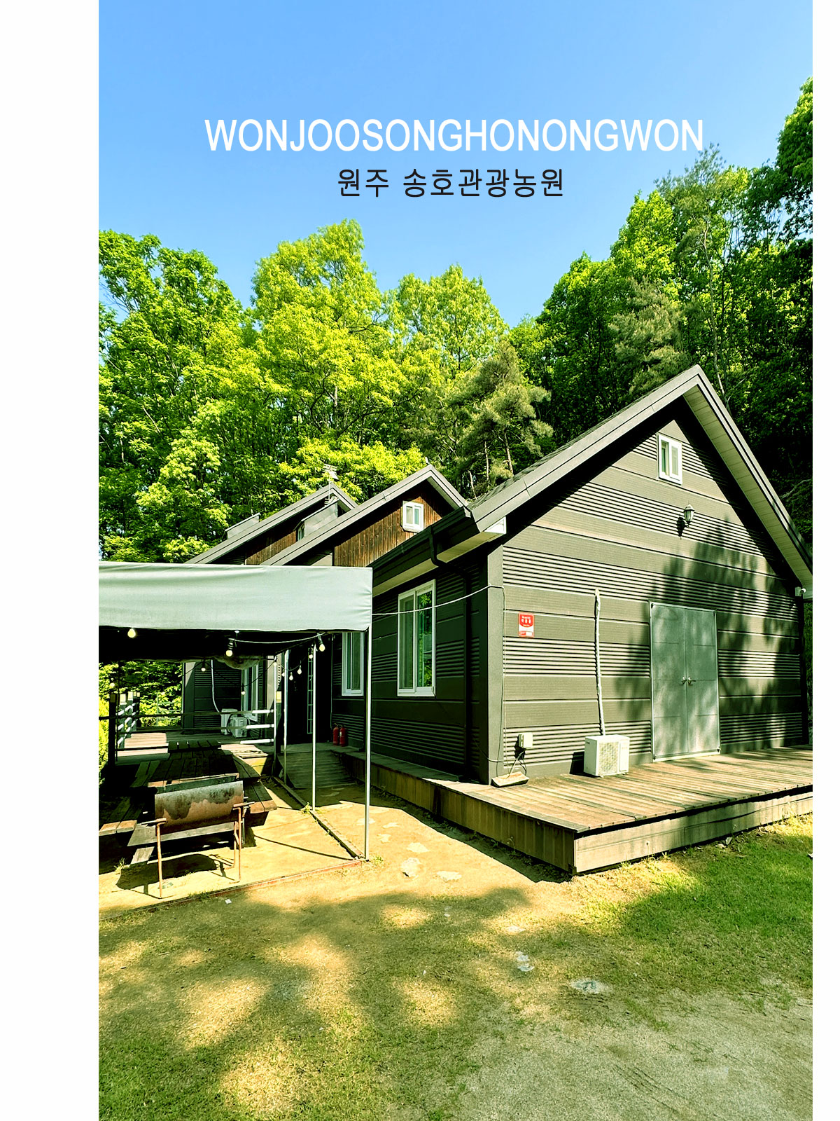 ������̹���5