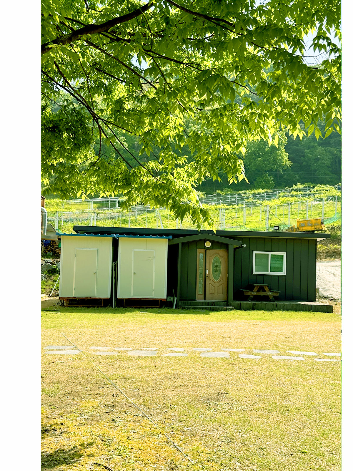 ������̹���6