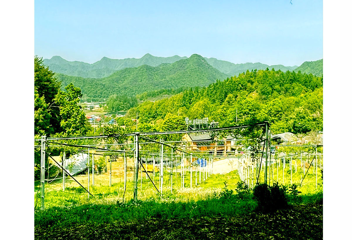 �ܺ��̹���1