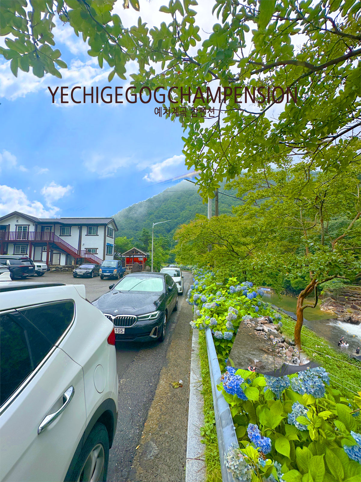 ������̹���1