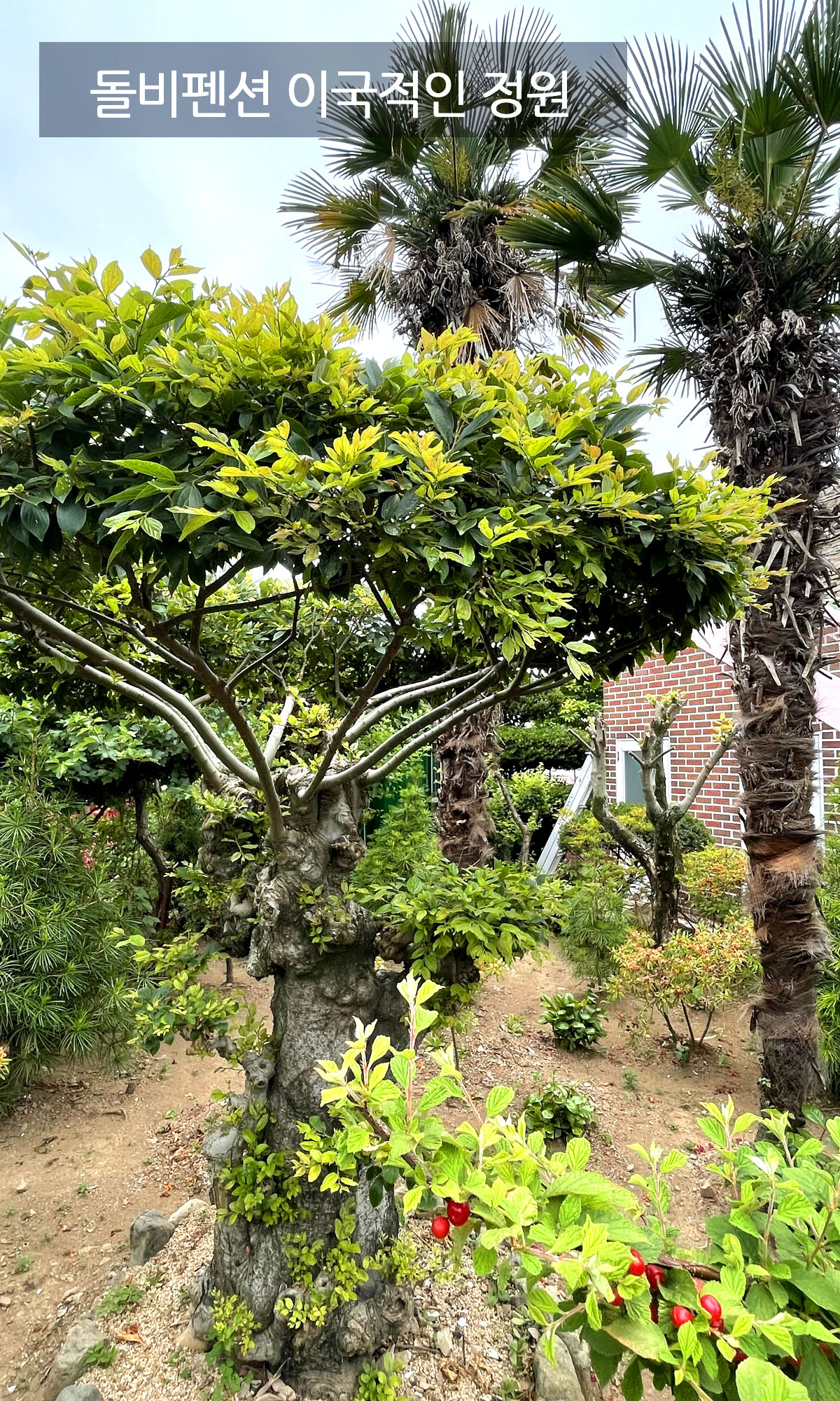 �ܺ��̹���