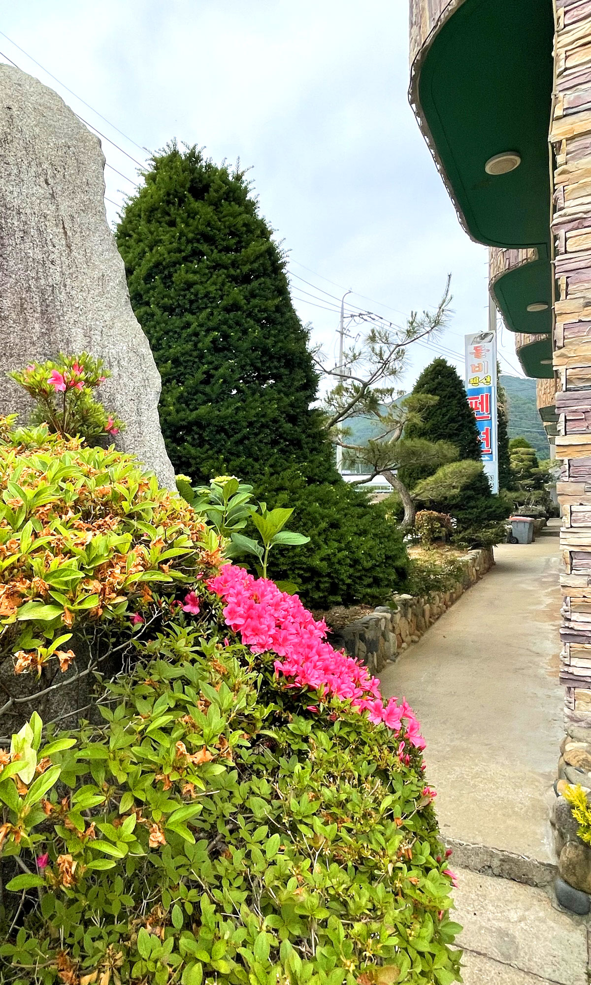 �ܺ��̹���