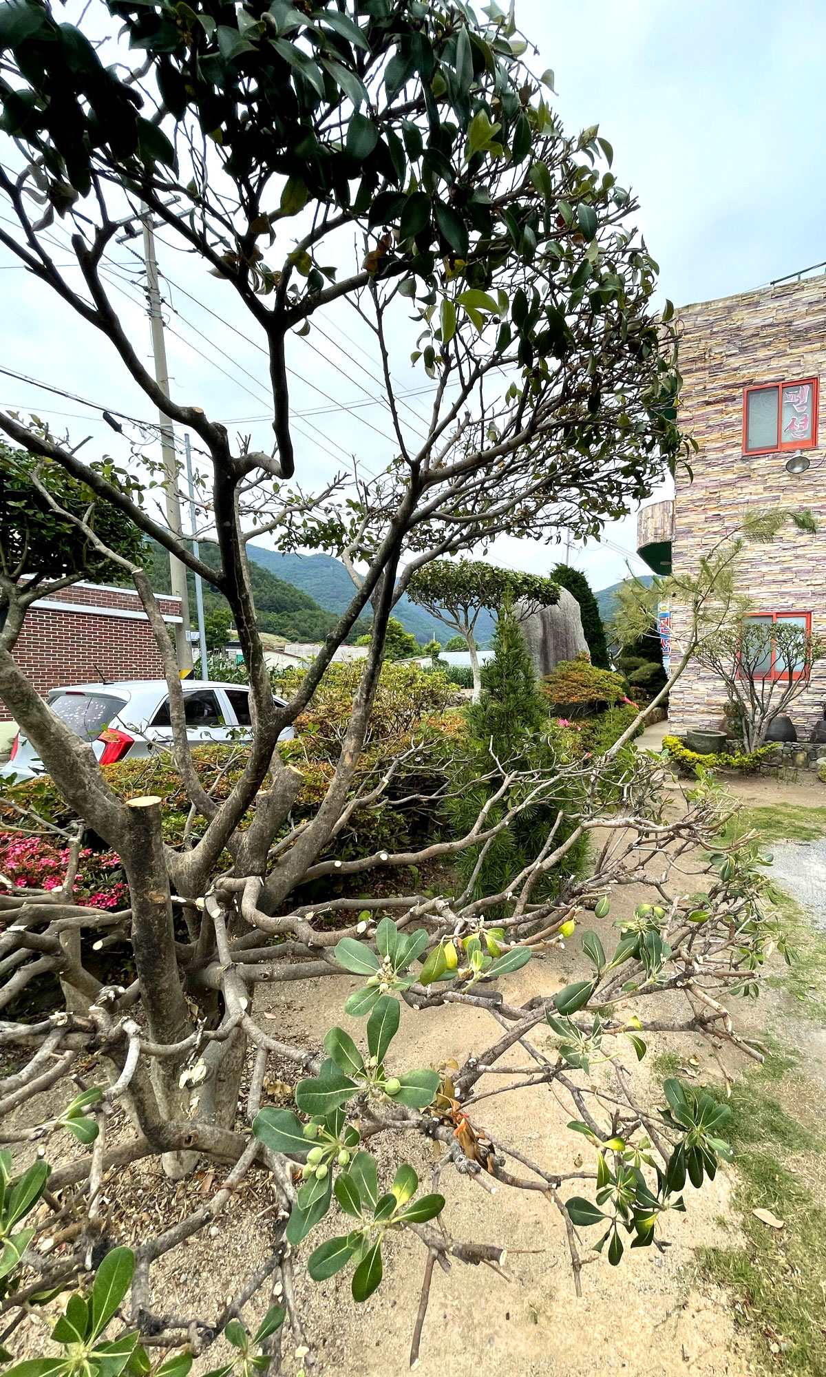 �ܺ��̹���