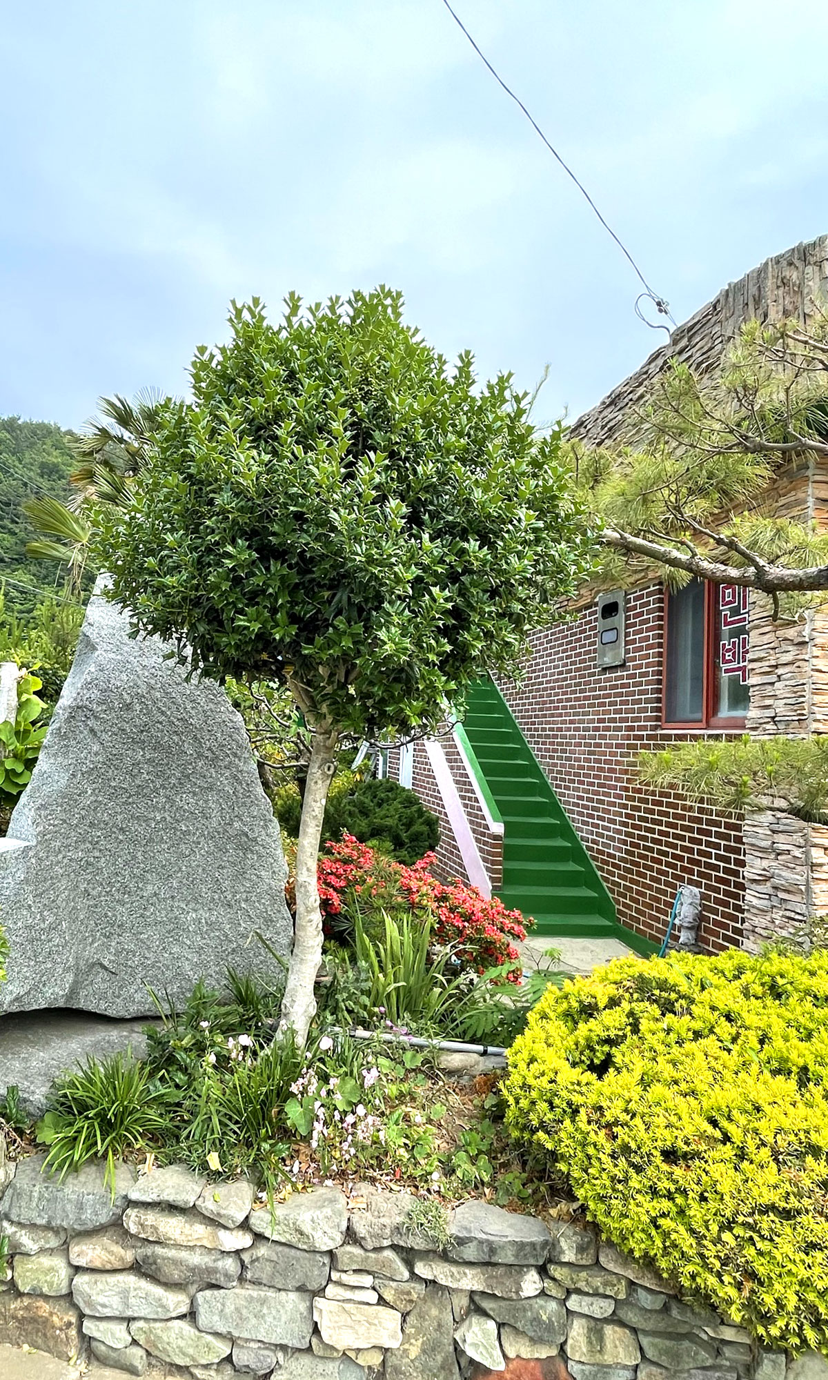 �ܺ��̹���