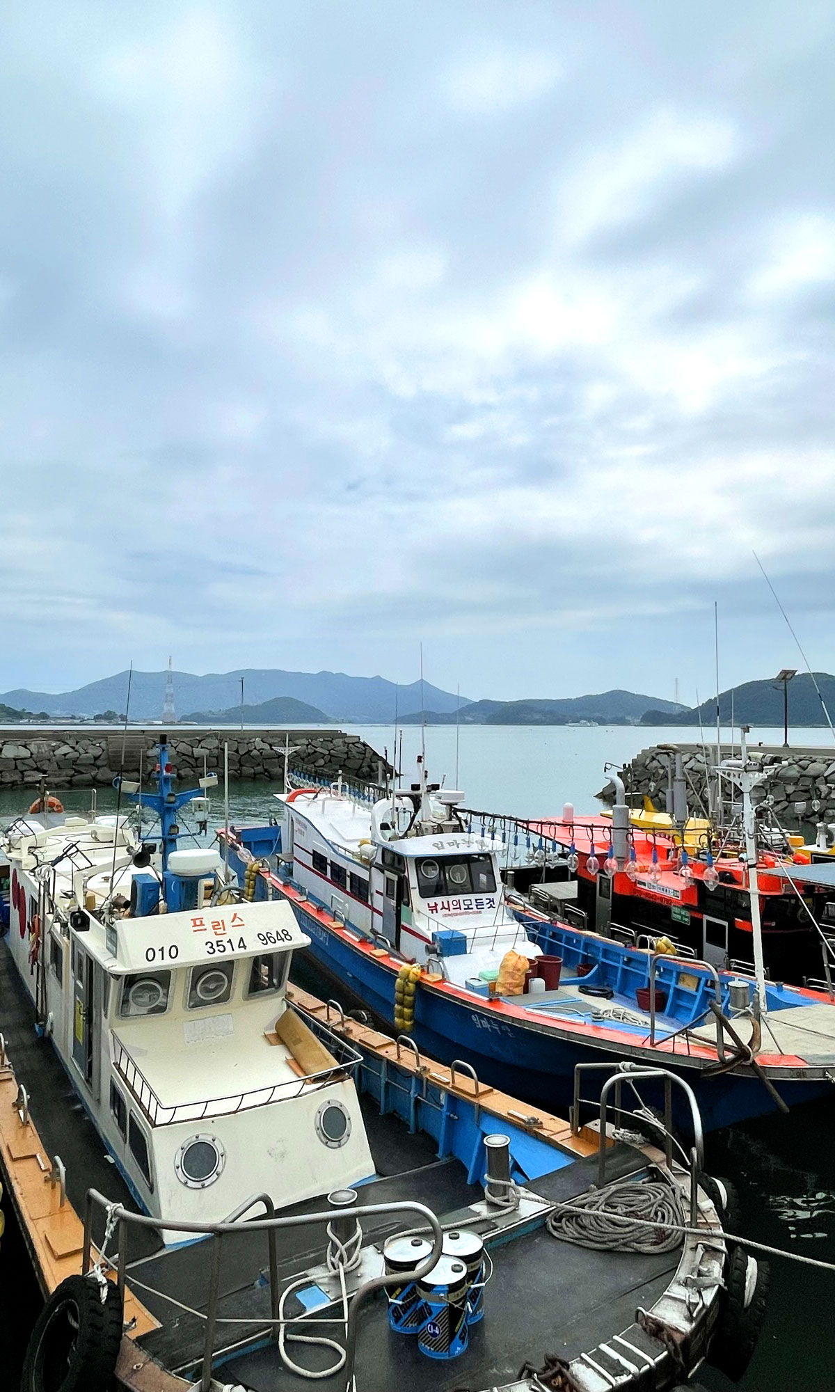 �ܺ��̹���