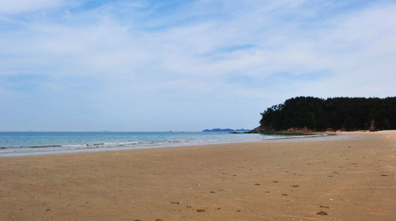 �ֺ������̹���