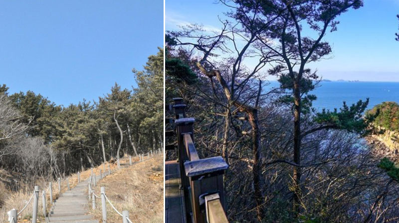 �ֺ������̹���